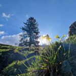 Sichtweisen und Blickwinkel