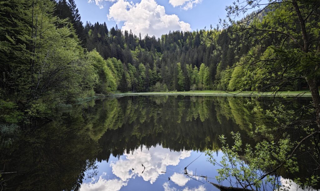 Zwischen Waldwipfel und Wirkungsfeld und zwischen Spiegelbild und Standortbestimmung